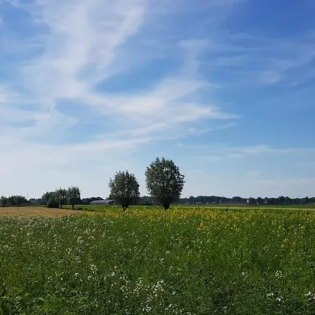 De Heughte 4* Oosterwolde (Gelderland)