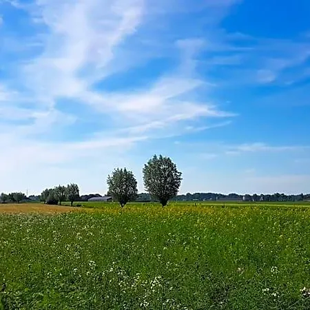 De Heughte