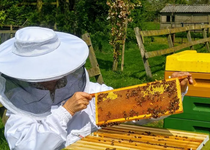 De Heughte Nocleg ze śniadaniem 4*