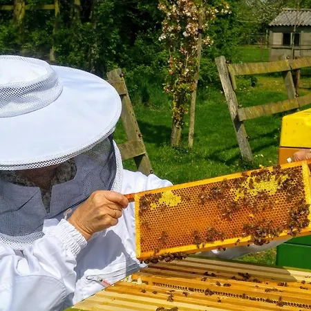 De Heughte فندق مبيت وإفطار 4*